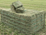Exceptional Prime Lucerne Horse Hay