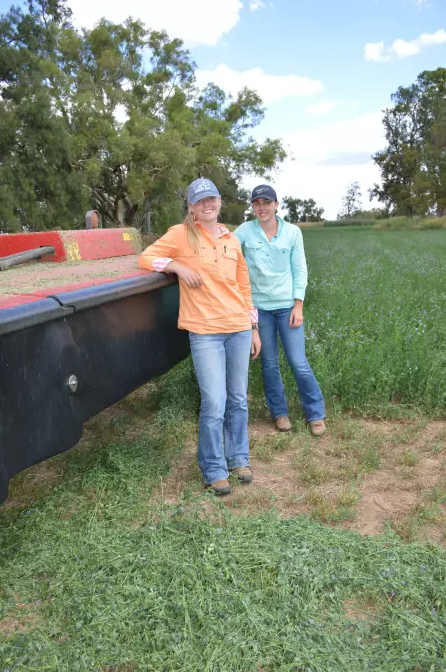 The Land: Branding bales shakes up trading