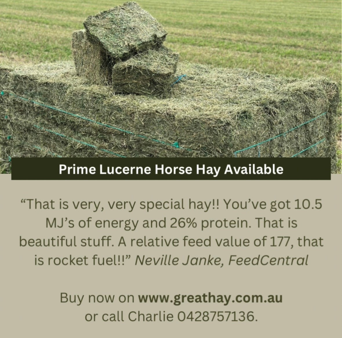 5 tips to avoid getting ripped off when buying hay.