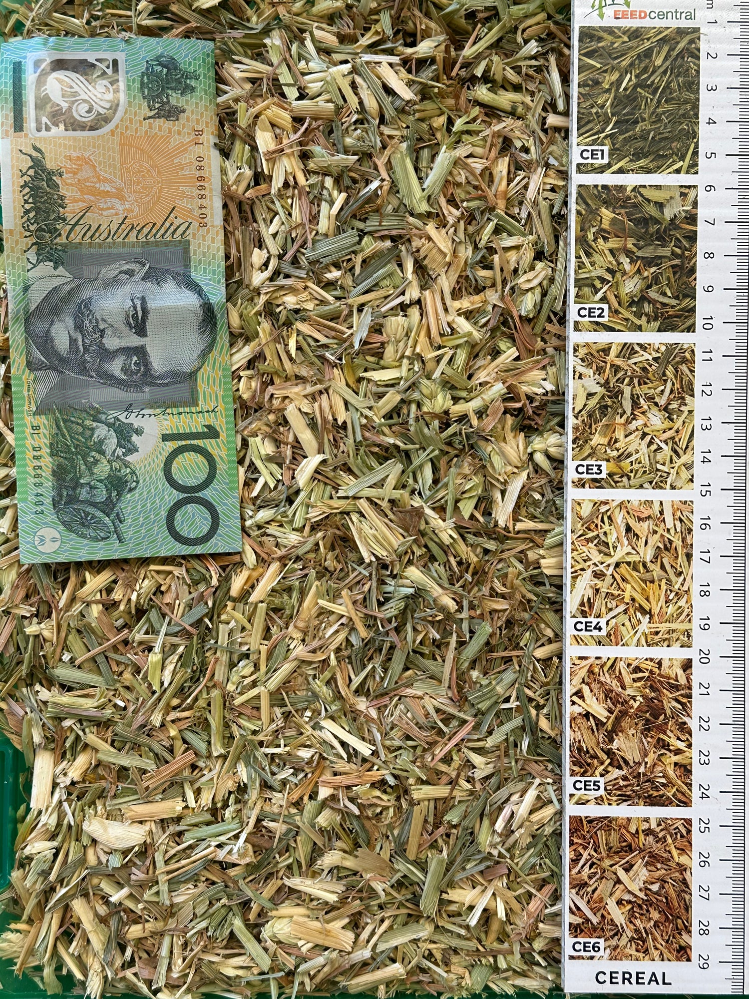 Awnless Wheaten Hay Big Squares (8x4x3ft bales)