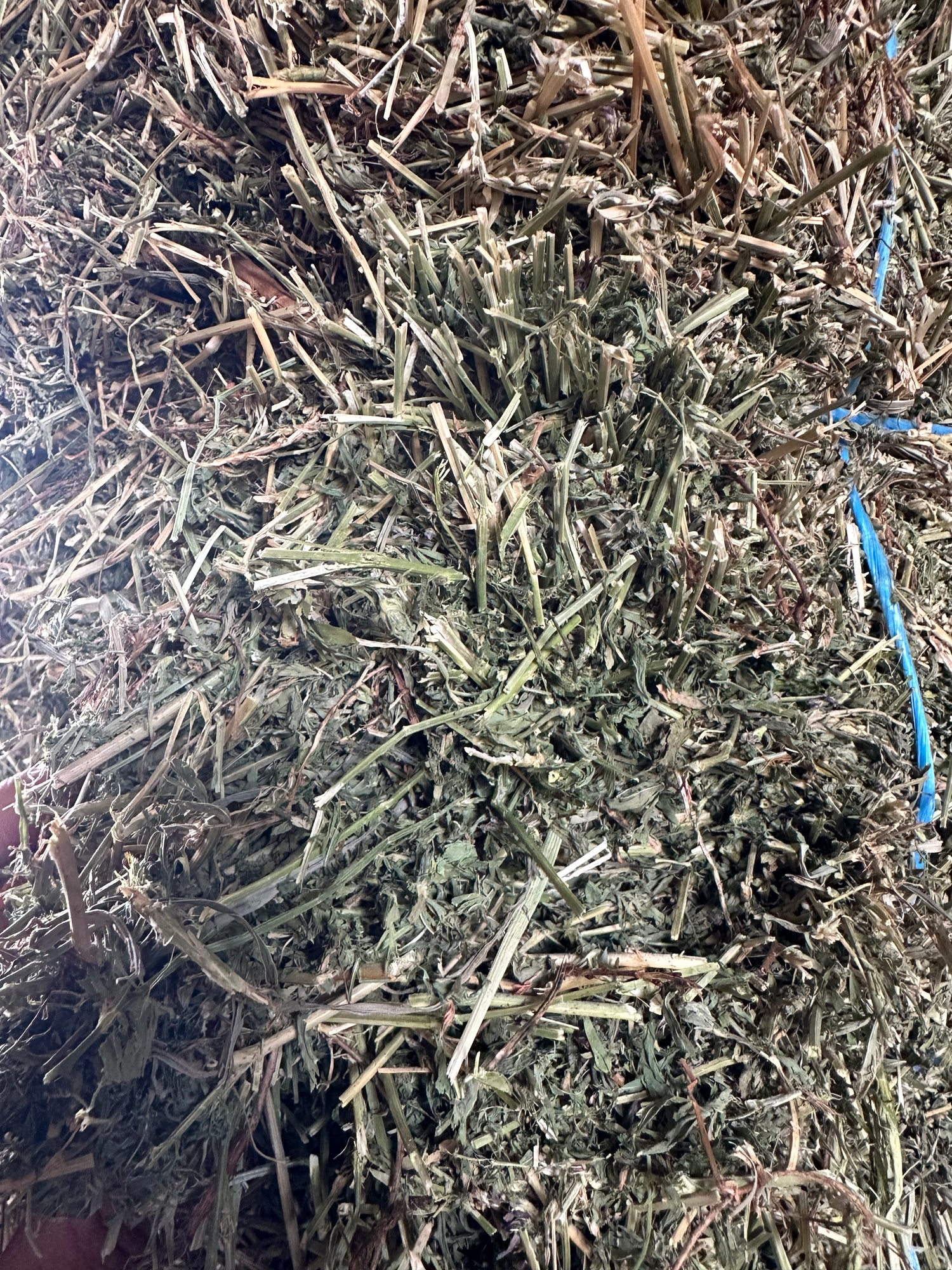 Grassy Lucerne Horse Hay (min. Purchase 2 x baron packs = 42 bales)