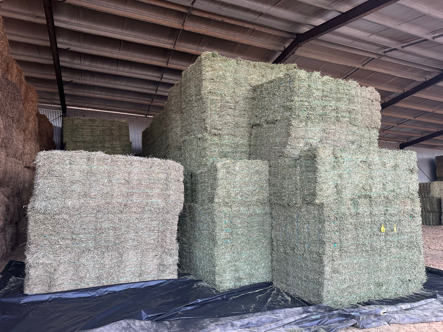 Meadow Hay (min. Purchase 2 x baron packs = 42 bales)