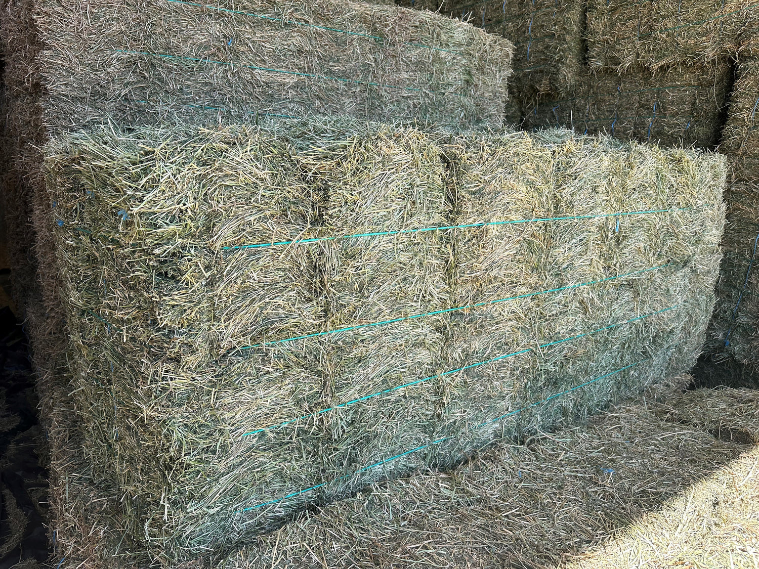 2nd Grade Lucerne Horse Hay (min. Purchase 2 x baron packs = 42 bales)