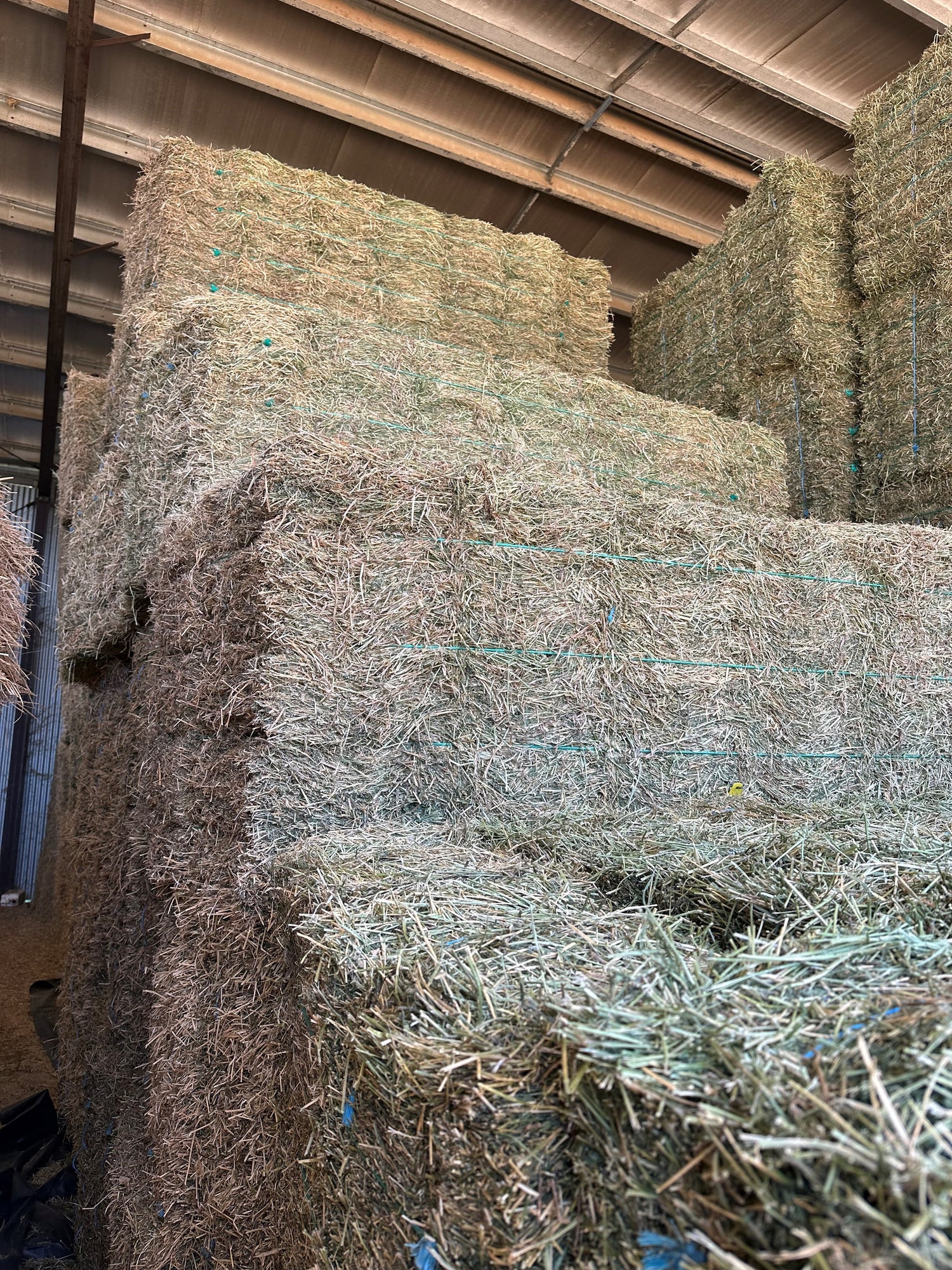 2nd Grade Lucerne Horse Hay (min. Purchase 2 x baron packs = 42 bales)