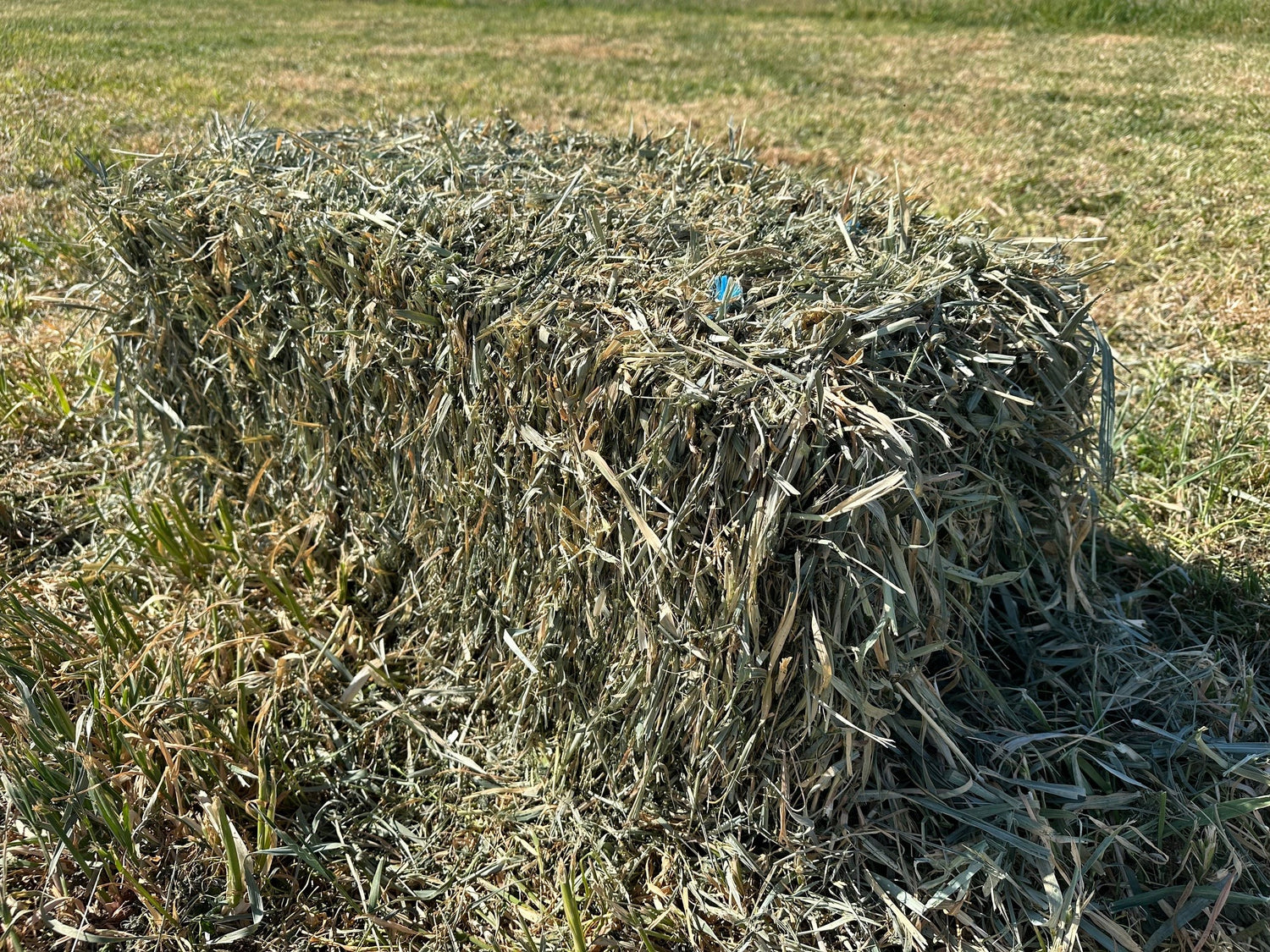 Meadow Hay (min. Purchase 2 x baron packs = 42 bales)