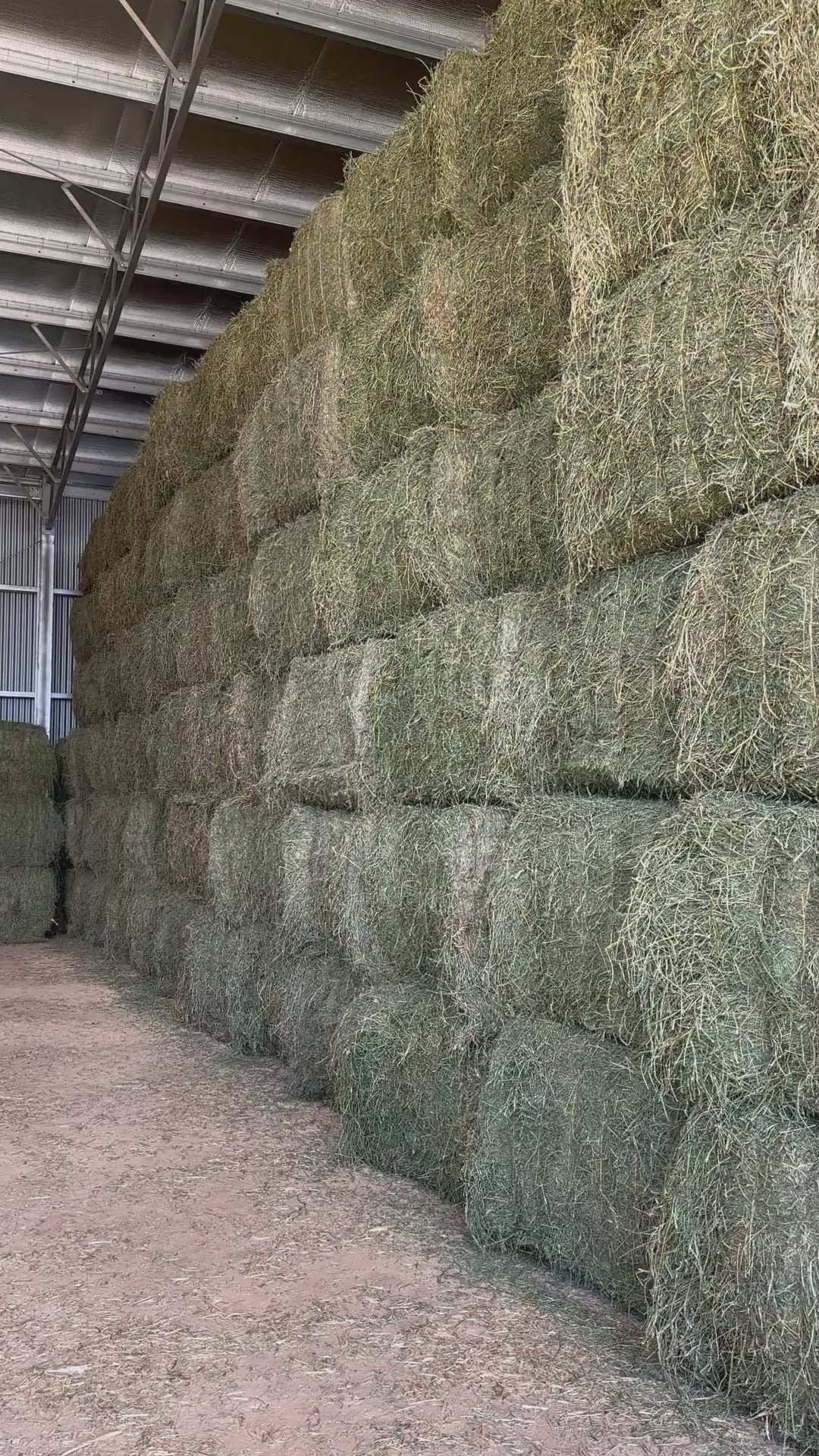 Lucerne Hay Big Squares A Grade (8x4x3ft bales)